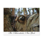 The Adirondacks, New York postcards