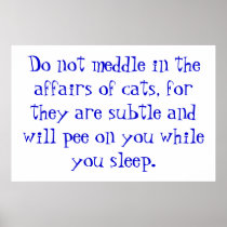The Affairs of Cats