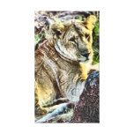 The African Lion Canvas Wall Art Canvas Print