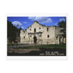 The Alamo Postcard