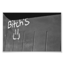 The Alternative Bitches Photograph