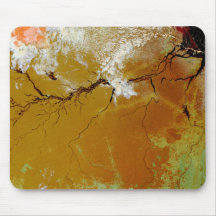 The Amazon Rainforest Mouse Pad