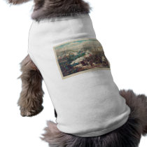 The American Civil War Battle of Pea Ridge 1862 Pet Clothes
