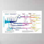 The American Criminal Justice System Flowchart posters