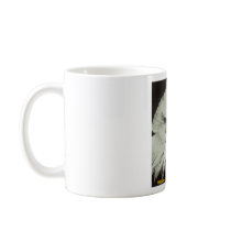 The American Eagle Mugs