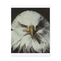 The American Eagle Postcard