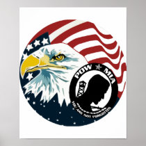 The American Eagle POW-MIA