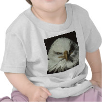 The American Eagle T Shirt