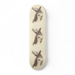 The American Goshawk (Astur atricapillus) skateboards