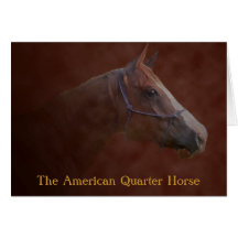 The American Quarter Horse Greeting Cards