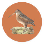The American Woodcock	(Rusticola minor) stickers
