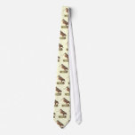 The American Woodcock	(Rusticola minor) ties
