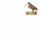 The American Woodcock	(Rusticola minor) t-shirts