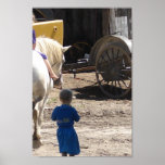 The Amish Girls and Their Horse