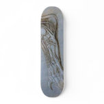 The anatomy of a bears foot skateboards
