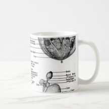 The Anatomy of an Oct8pus Coffee Mug