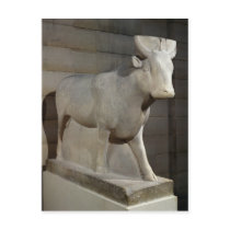 The Apis Bull, from the Serapeum, Memphis Postcard
