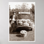 The Apple Grower posters