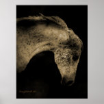 The Arabian Mare posters
