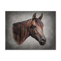 The Arabian Post Card