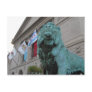 The Art Institute Lion Postcard
