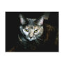 The Art Of Cat Postcards