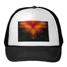 The Artist Mesh Hat