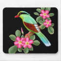 The Asian Green Magpie Mousepad