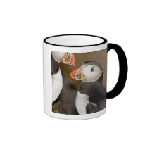 The Atlantic Puffin, a pelagic seabird, shown Coffee Mug