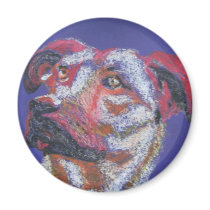 The Attentive Dog Magnets