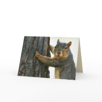 "the attentive squirrel" blank greeting card