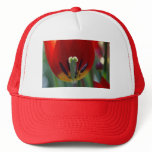 the audience hat
