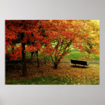 The Autumn Bench Print