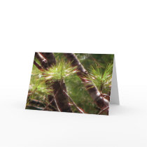 The Awakened Forest Greeting Cards