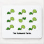 The Awkward Turtle