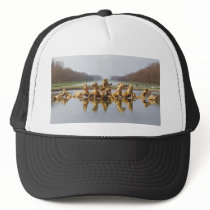 The Backyard Trucker Hat