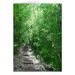 The Bamboo Forest Greeting Card