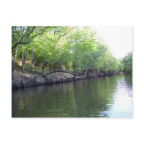 The Banks of Big Cypress Bayou Postcard