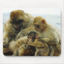 The Barbary Apes Mousepad