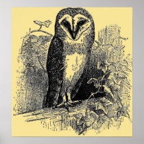 The Barn Owl Posters