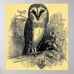 The Barn Owl Posters