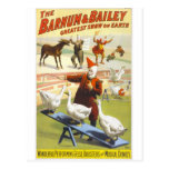 The Barnum & Bailey Circus Post Cards