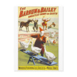 The Barnum & Bailey Circus postcards