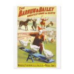 The Barnum & Bailey Circus Postcard