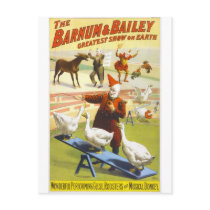 The Barnum & Bailey Circus Postcard