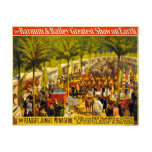 The Barnum & Bailey greatest show on Earth t-shirts