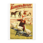 The Barnum & Bailey greatest show on earth Wonderf Post Cards