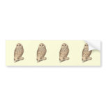 The Barred Owl	(Ulula nebulosa) bumper stickers