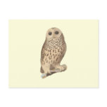 The Barred Owl	(Ulula nebulosa)