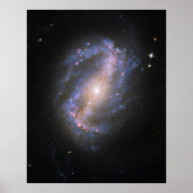 The Barred Spiral Galaxy NGC 6217 Poster